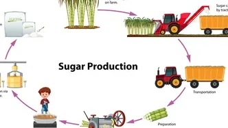 #PakistanSugarMillsAssociation #canecommissioner #agriculture #PSMA #punjab #Sindh #KPK #AgriPakistan #PakistanAgricultureDialogue #Sugarcane #Sugar #ChiefSecretaryPunjab #SugarcaneFarmers #SugarPrices #Fertilizer #Pakistan #Kissan #Brazil #weather #allpakistankissanittehad #agriculturedeptpunjab #india #SindhGovernment #SugarExport #weather #rain #climate #climatechange #globalwarmingisreal